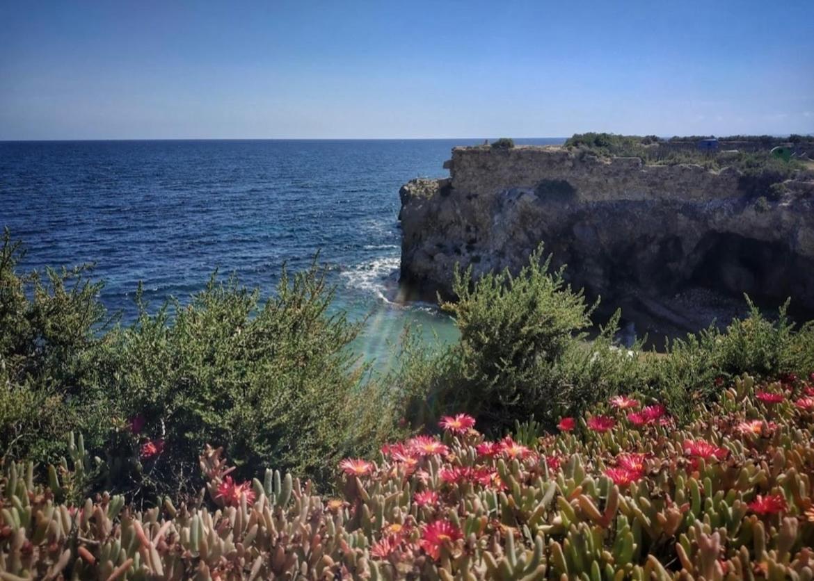 Apartament La Margarita